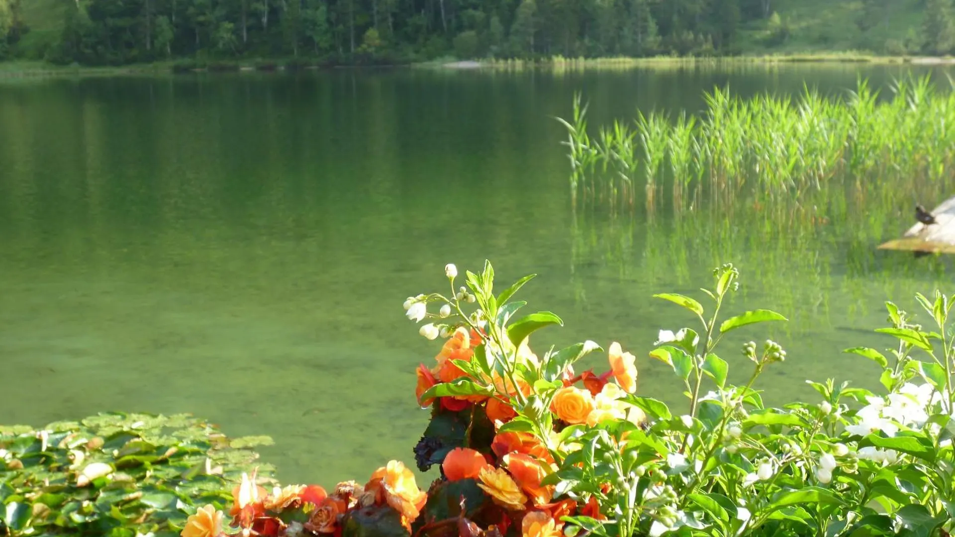 Guest house Gaestehaus Laerchenhang Mittenwald